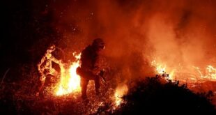 Spain braces for wildfires as beef farmers battle red tape