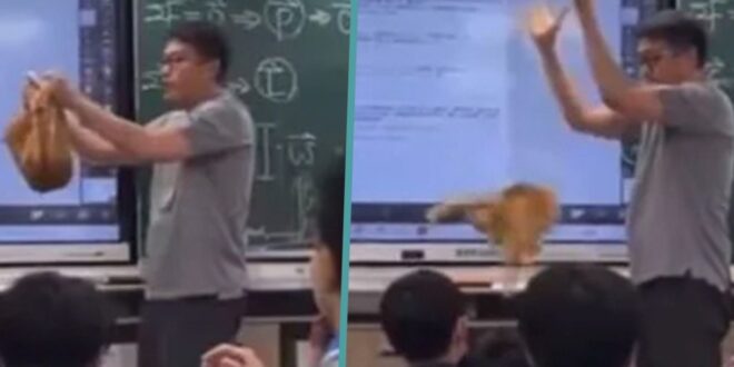 Taiwan teacher in social media doghouse after dropping squealing cat