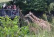 UKM students raise RM6800 sponsor 55 benches at Zoo Negara