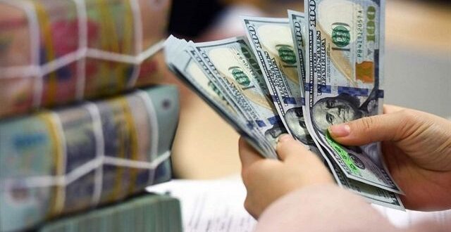 Businesses concerned about US dollar appreciation