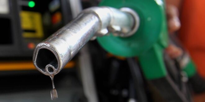 Govt sticking with plan to cut fuel subsidies this year