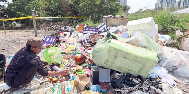 Look south for lessons to solve rubbish issue