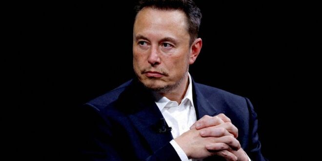 Musk challenges Brazils order to block certain X accounts