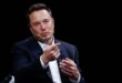 Musk targets Australian senator gun laws in deepening dispute over