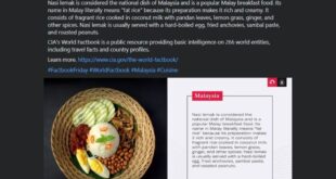 Nasi lemak featured in CIAs World Factbook agency translates it
