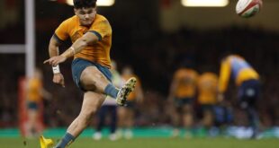 Rugby Rugby Hurricanes march on as Auckland give Brumbies the blues