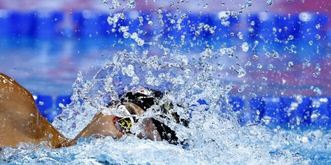 Swimming Olympics World champion swimmers duel in 400 freestyle in Australia