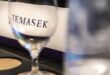 Temasek eyes rich family businesses in Europe
