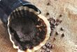 Upcycle coffee grounds into body scrub keep it out of