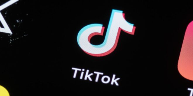 What next for TikTok as US ban moves a step