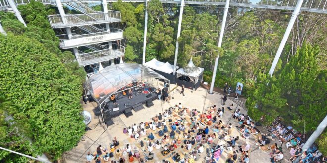 2024 George Town Festival to involve communities