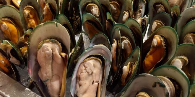 Biotoxin levels in PD mussels drop below danger level further