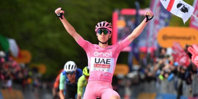 Cycling Cycling Pogacar reigns supreme on final climb to win Giro