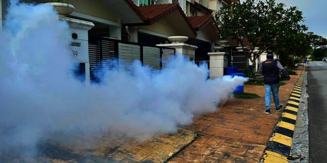 Dengue bites hard in Selangor