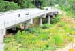 Ensuring safe passage on our roads for wildlife