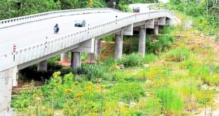 Ensuring safe passage on our roads for wildlife