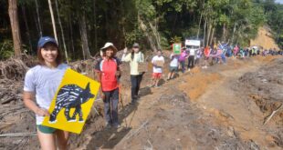 Environmental group organises human chain to protest deforestation in Selangor
