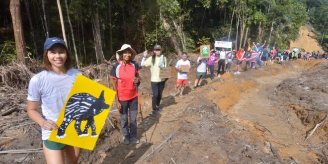 Environmental group organises human chain to protest deforestation in Selangor