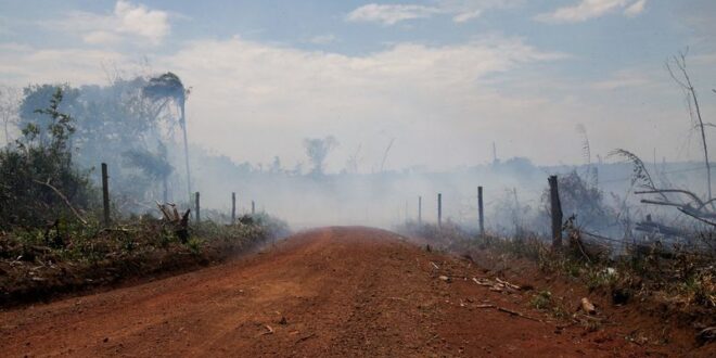 Exclusive Operations to destroy illegal roads in Colombias Amazon hit standstill