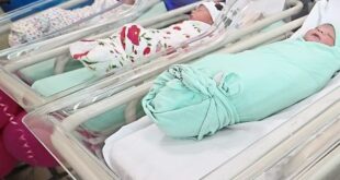 Fewer babies being born in the country