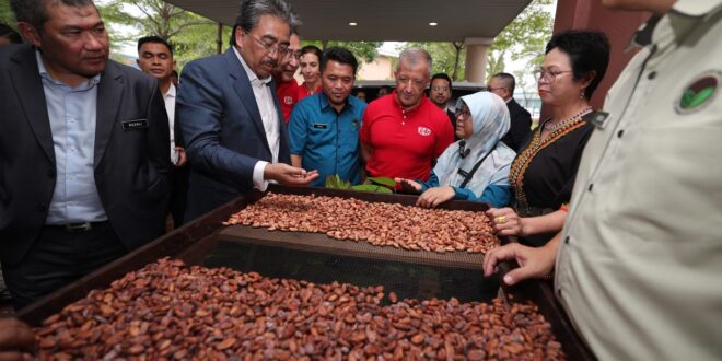 Govt to allocate RM95mil to boost local cocoa production says