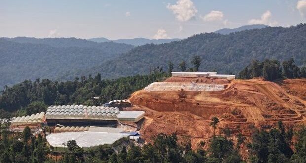 High risk slopes in Cameron Highlands being cleared for development again