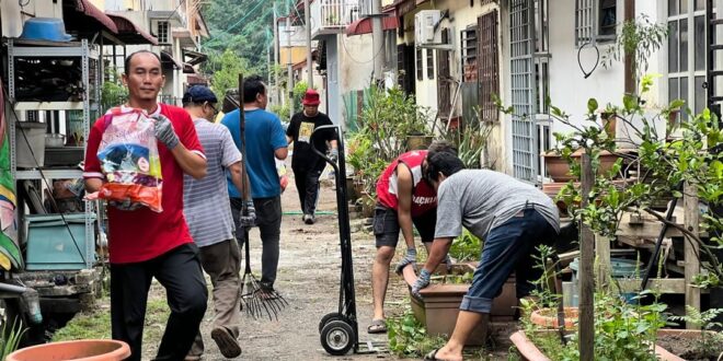 Klang council out to clear back alleys of Aedes breeding
