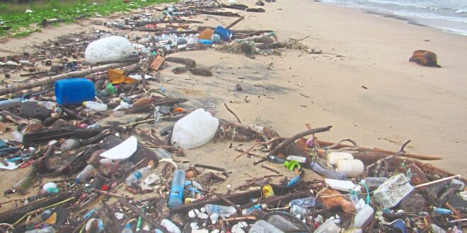 Our seas are burdened with debris