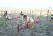 Sowing seeds of climate resilience