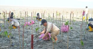 Sowing seeds of climate resilience