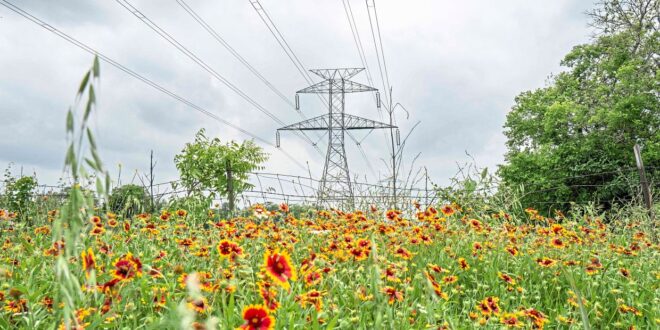 Texas braces for more summer electricity alerts