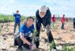 28 million trees planted in reforestation efforts