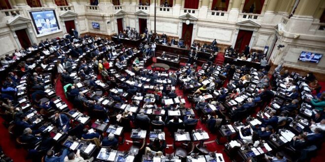 Argentina passes economic reform bill in Mileis first big legislative