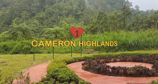 Cameron Highlands needs strict zoning laws says environmental group