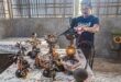 Craftsman turns coconut shells into showpieces