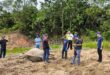 Dead elephants in Kluang from Bandar Tenggara herd