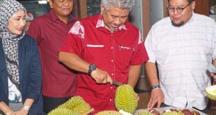 Durian experts among 6000 expected at Gelang Patah summit on