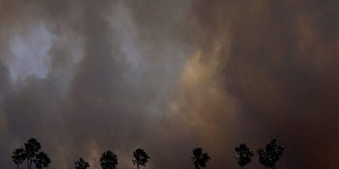 Fires in Brazil wetlands surge to record start in 2024