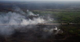 Fires in Brazilian wetlands surge 980 extreme drought expected