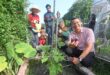 Food waste turned into compost to benefit community gardens in