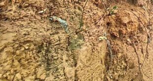 Landslides on Mt Kinabalu after continuous heavy rain