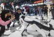 MWC Shanghai AI in focus as Chinas telecoms operators and