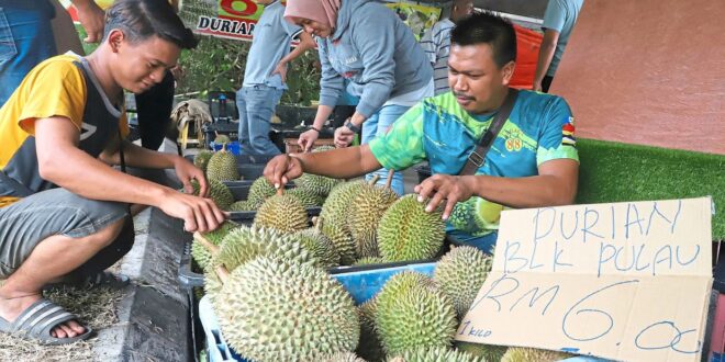 Massive sales of cheap durian bring smiles all around