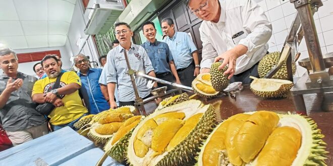 Over 600kg of durian served at two fruit feasts in