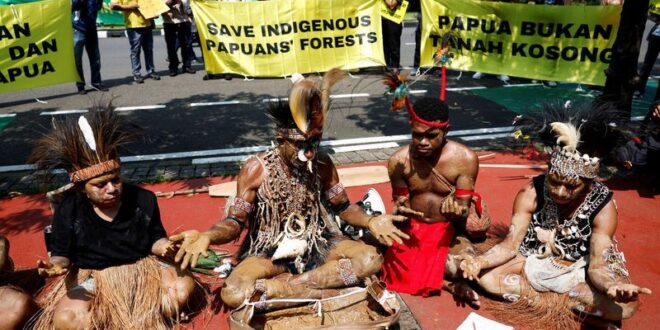 Papuan tribe palm oil firms battle for land rights in