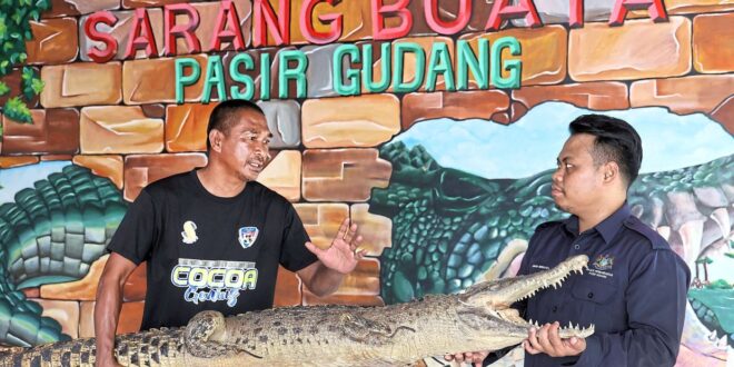 Scaling new depths with crocodile census