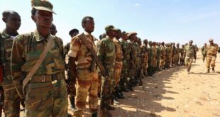 Somalia to expel Ethiopian troops unless Somaliland port deal scrapped