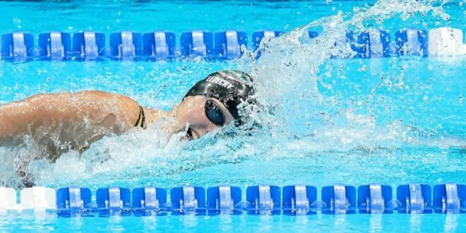 Swimming Swimming Ledecky triumphs again at US Olympic trials