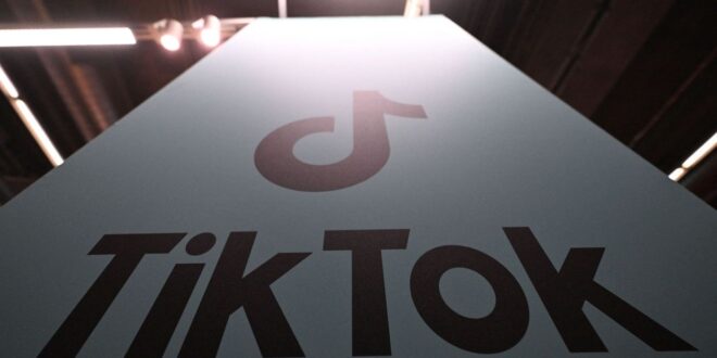 TikTok could be working on a US clone