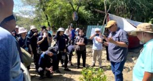 UMS works with villagers on conservation of mangrove forests